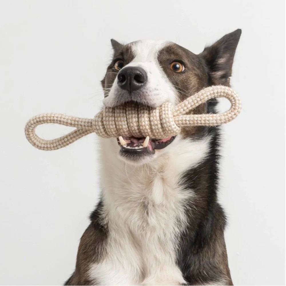 🆕 Dog Chew and Tug Knotted Natural Rope/Jute Bow Toy